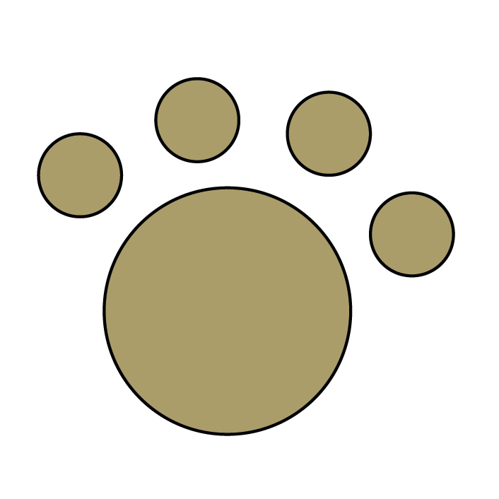 rudy kot podczas masażu