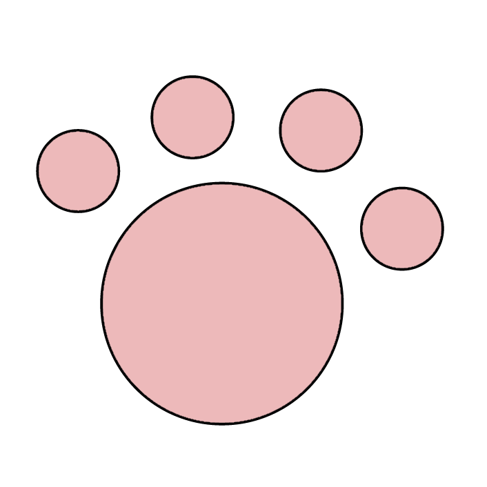 rudy kot podczas masażu