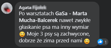 screen opinie: moje 3 psy są zachwycone